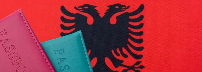 Паспорта на фоне флага Албании