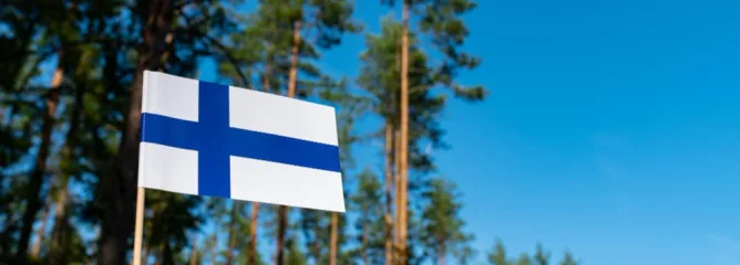 Флаг Финляндии на фоне леса