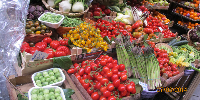 Abundance of vegetables