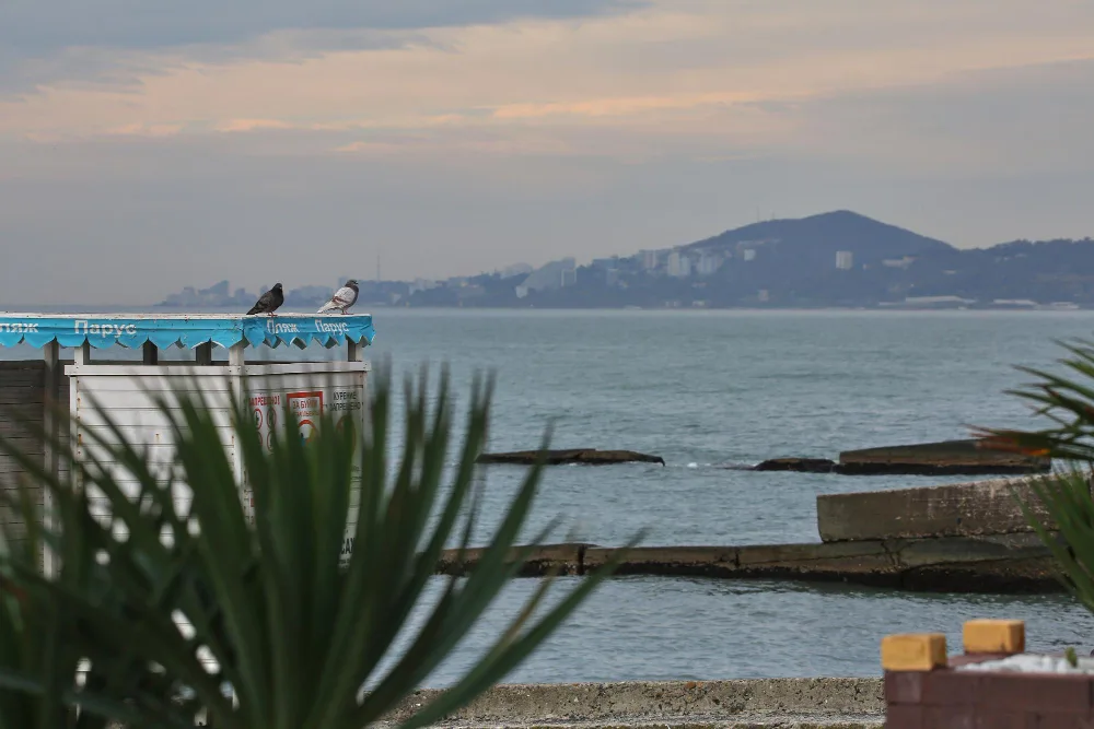 Вид на Черное море в Сочи