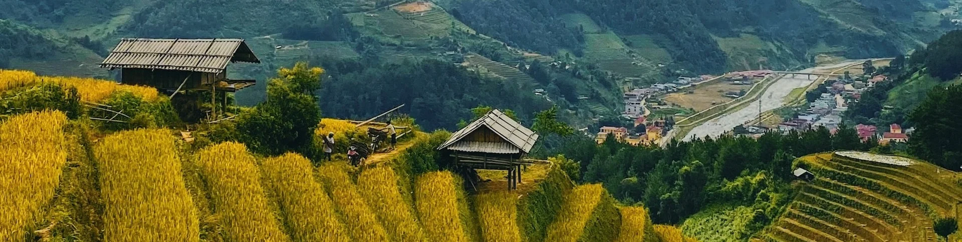 Vietnam